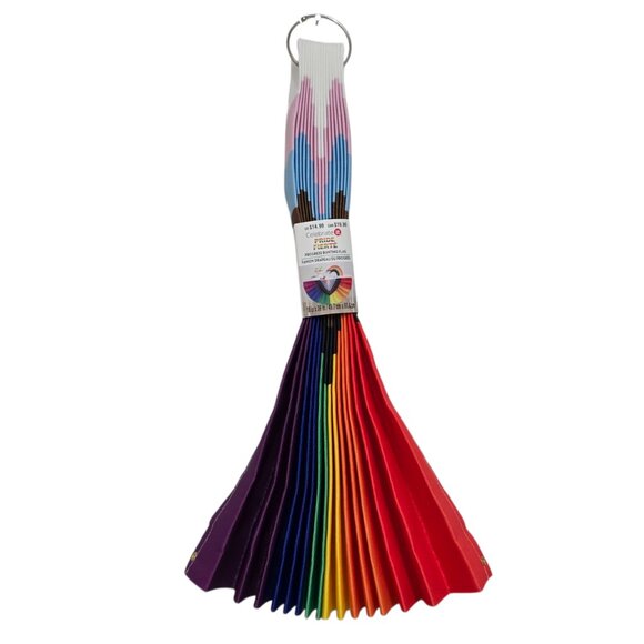 Celebrate It Pride Progress Bunting Flag 18" x 36" NEW - Picture 4 of 4